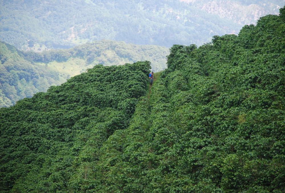 Paisaje - Imágenes