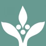 Fundación Hanns R. Neumann Stiftung